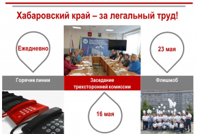 Хабаровский край – за легальный труд!